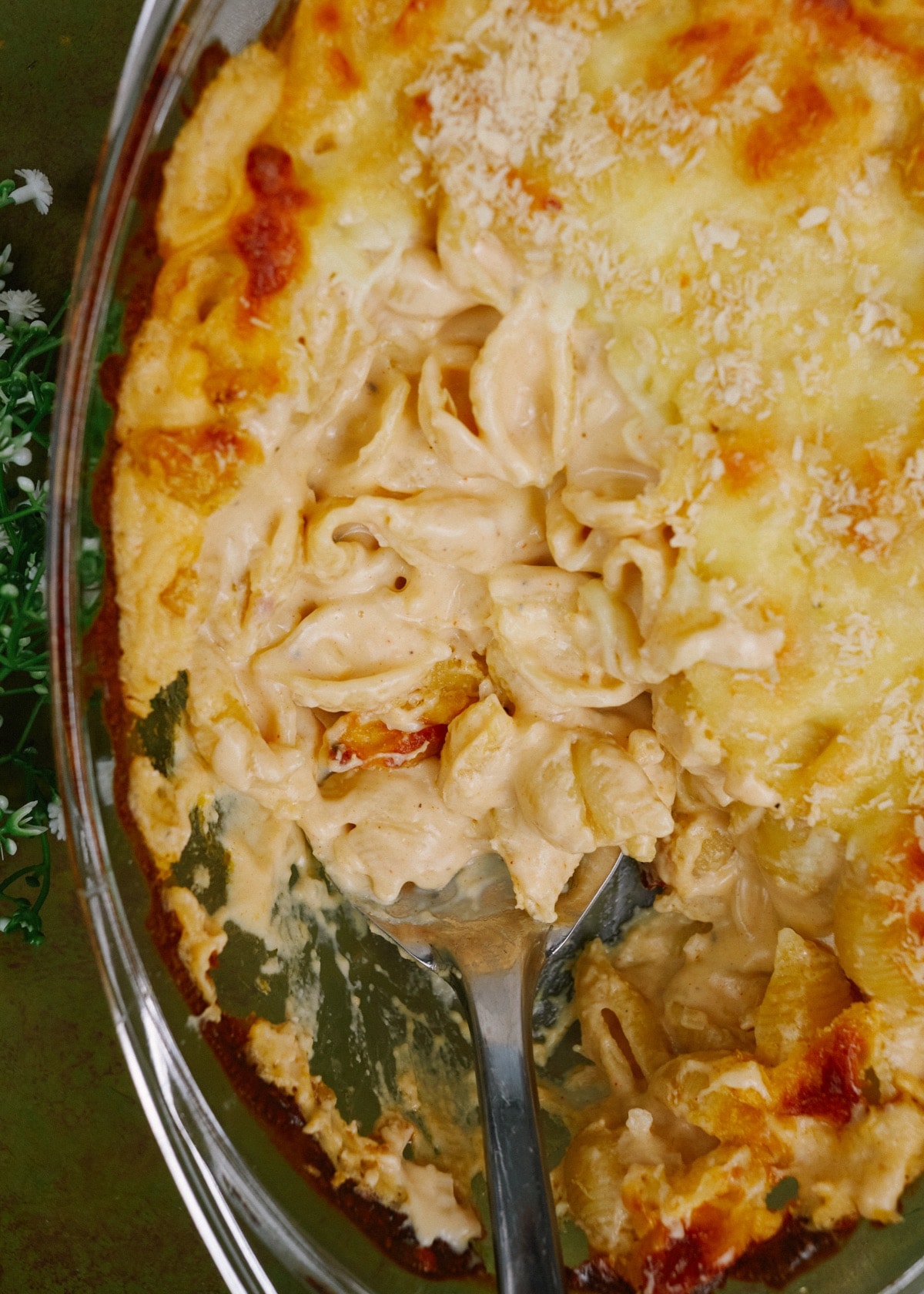four cheese pasta casserole in a baking dish with a spoon lifting out a serving