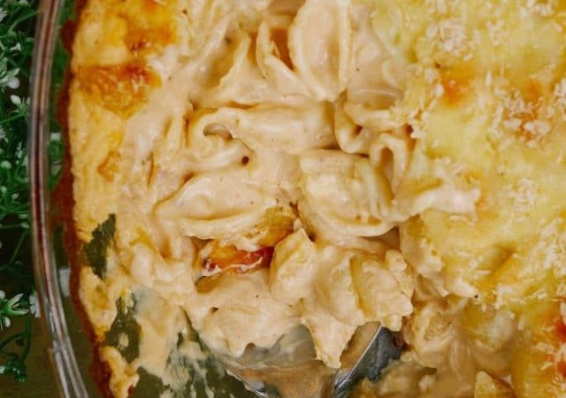 cropped-Four-Cheese-Pasta-Casserole-7.jpg