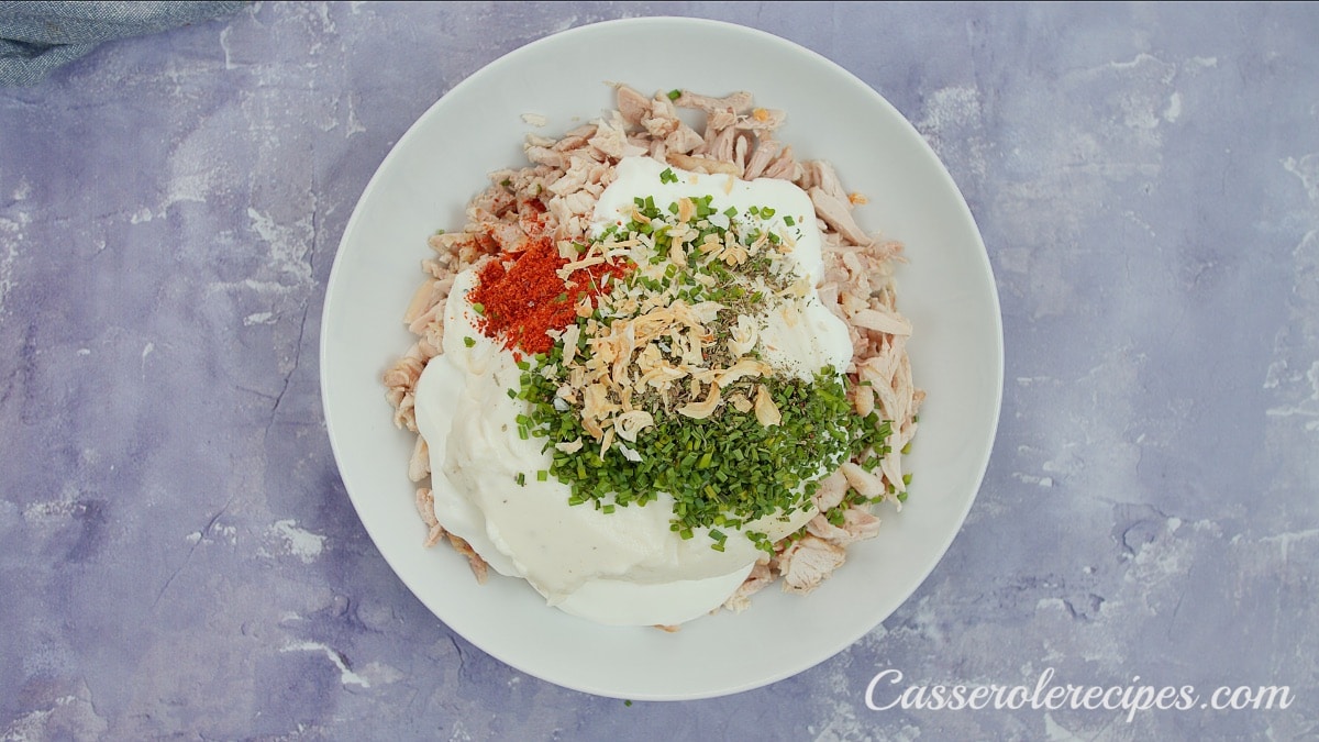 shredded chicken topped with sauces, herbs, and spices