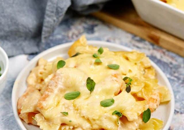 white plate of creamy shrimp pasta on blue table