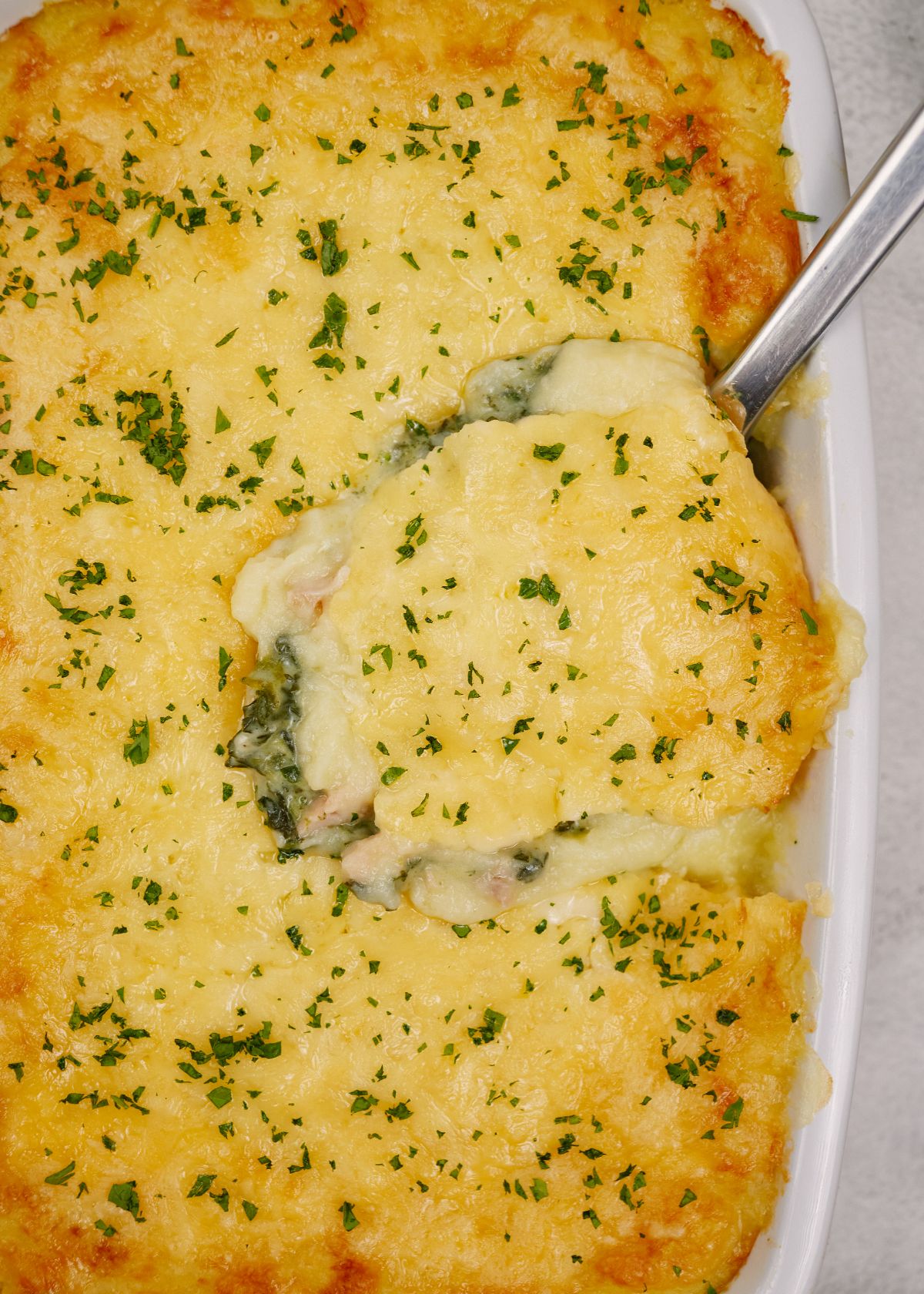 silver spoon in edge of salmon and spinach casserole
