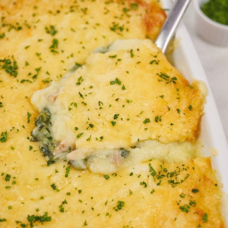 silver spoon in edge of salmon and spinach casserole