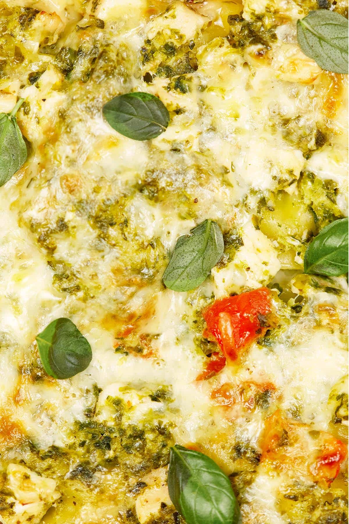 closeup of Chicken Caesar Lasagna